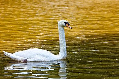 《死亡搁浅：导演剪辑版》全新预告 介绍新设置与新功能