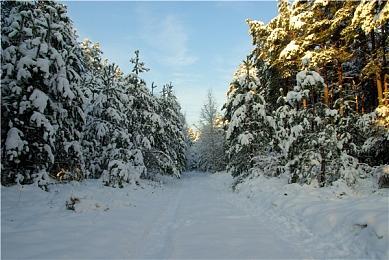 《完美的一天》正式版发布 重回20世纪的最后一天   